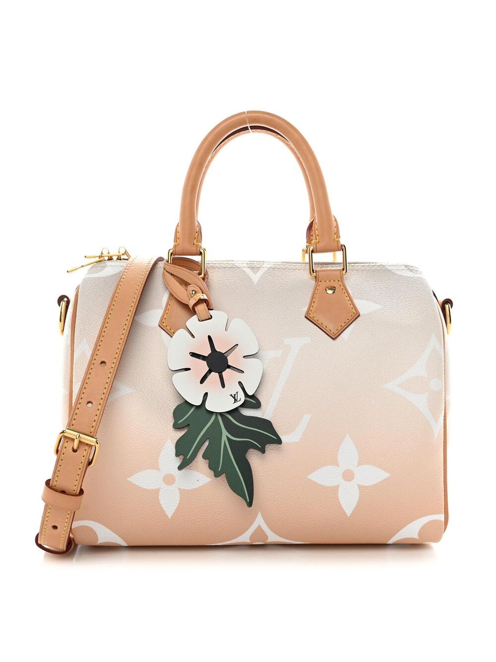 Louis Vuitton Giant By The Pool Speedy #344850L18B